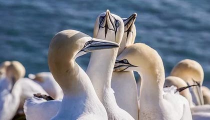 开云体育官方网站网址-曼城对尤文的胜利强化其世俱杯头号竞争者地位，曼城尤文最新比赛