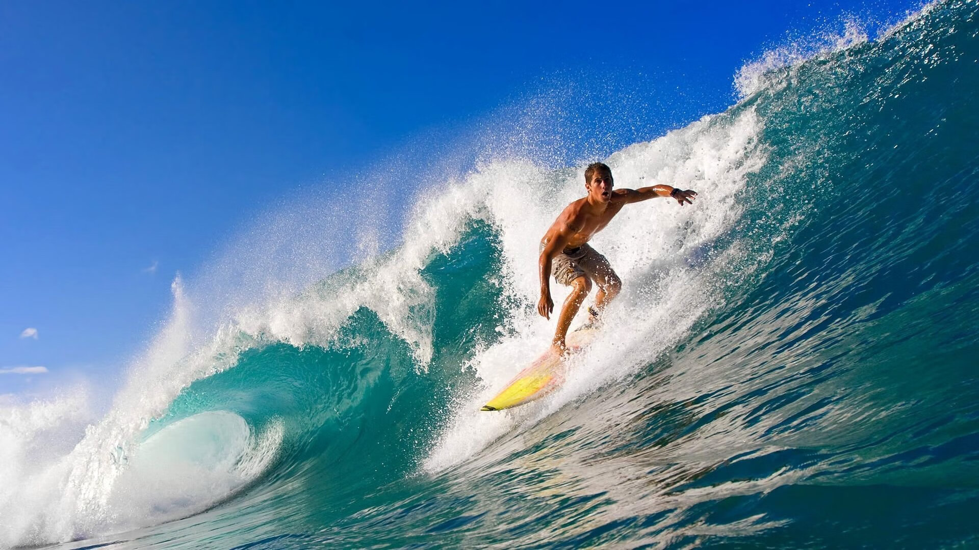 体育新闻中心承办全国体育数据应用创新大赛,中国体育数字创新大赛